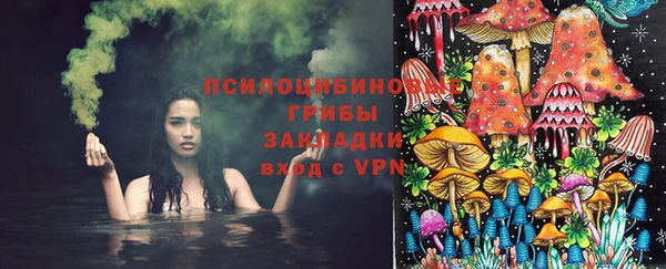 спайс Алексеевка