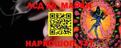 прущие грибы Донской