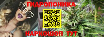 прущие крисы Дубна