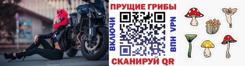 Галлюциногенные грибы Magic Shrooms  наркошоп  Новодвинск 
