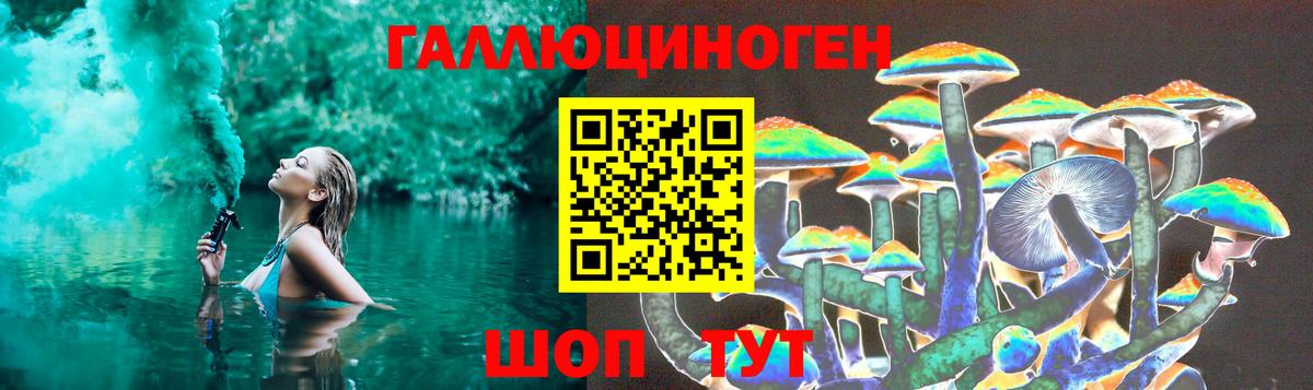 Новодвинск  Псилоцибиновые грибы Psilocybine cubensis  Вход с VPN 